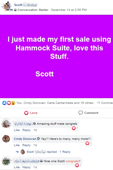 Hammock Suite - Scott selling